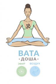 вата.jpg